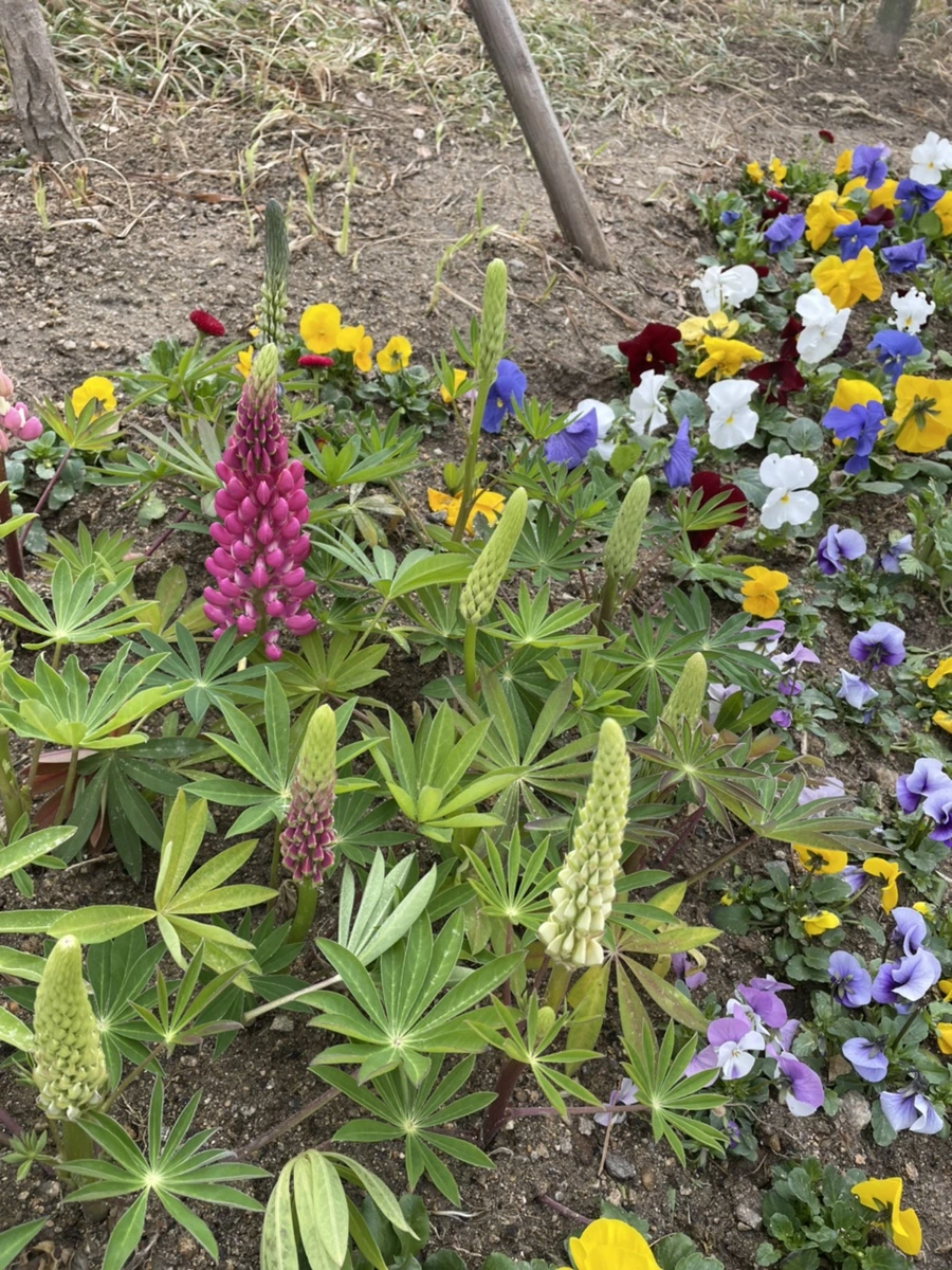 IMG_3072.jpg?type=w1