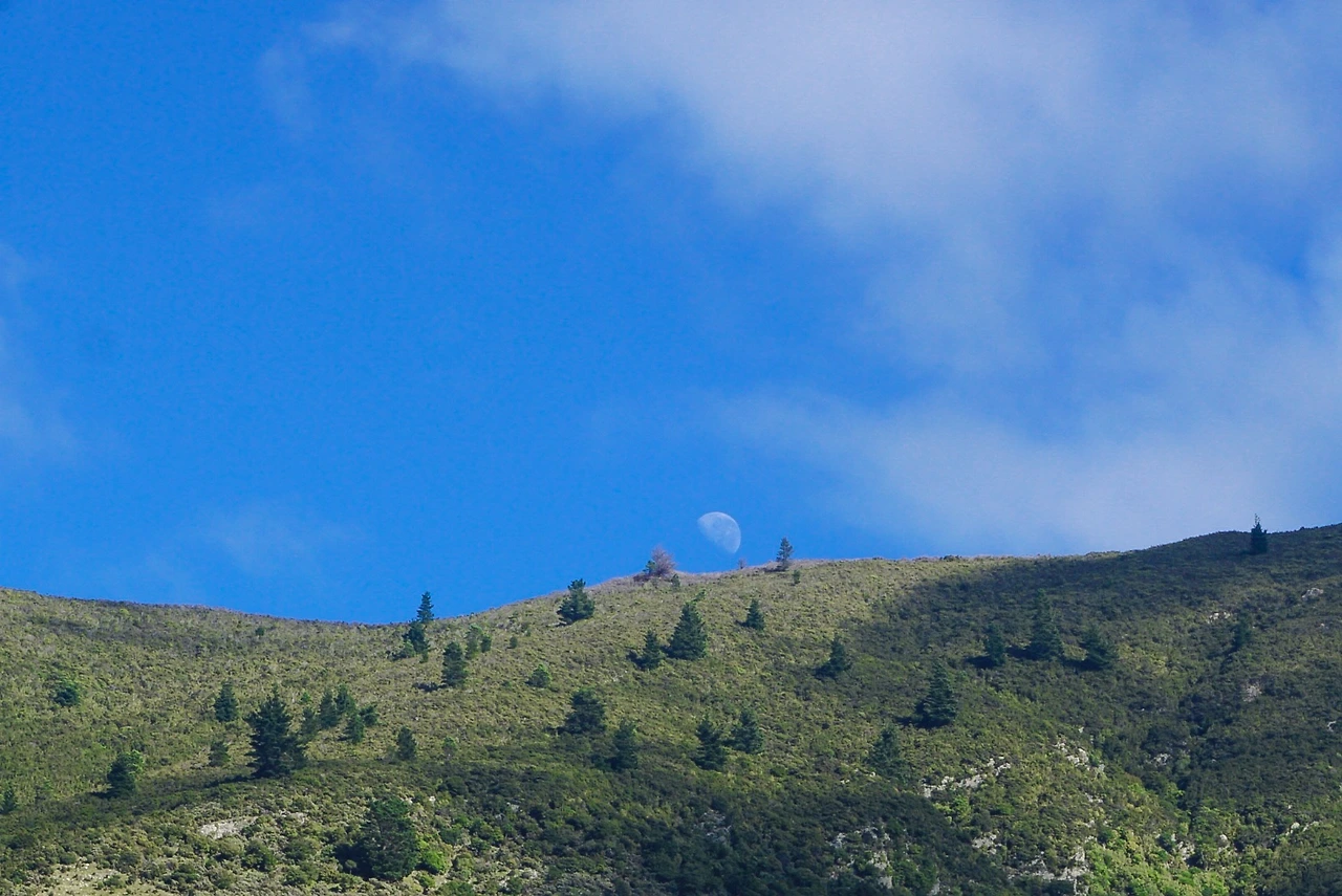 풍경 산 달.JPG