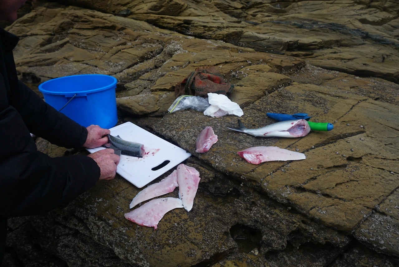 물고기 손질.JPG