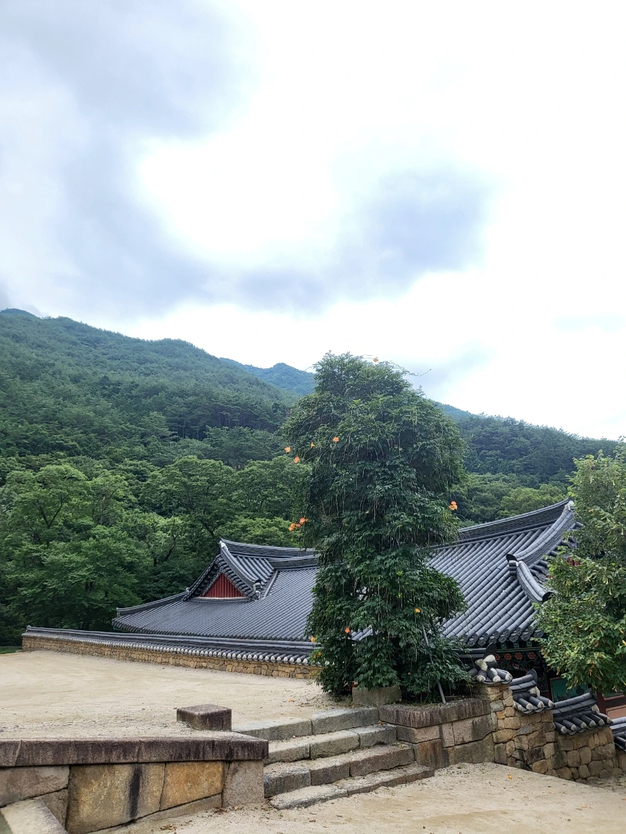 20220814%EF%BC%BF091538.jpg?type=w1