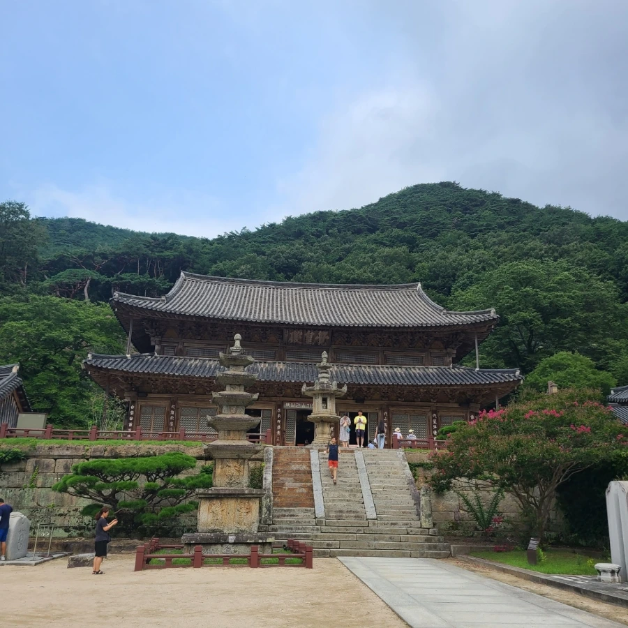 1660469991659.jpg?type=w1