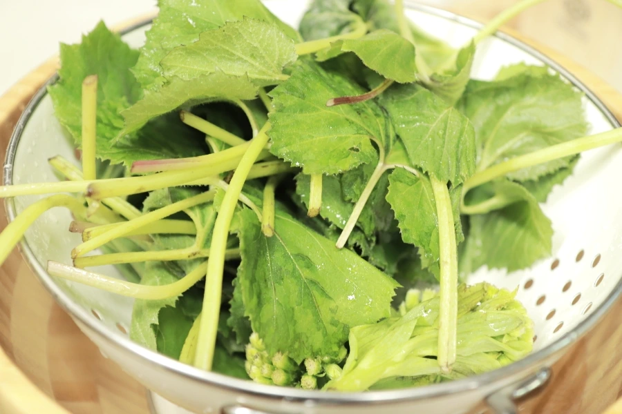 20220410103522%EF%BC%BFIMG%EF%BC%BF2948.JPG?type=w1