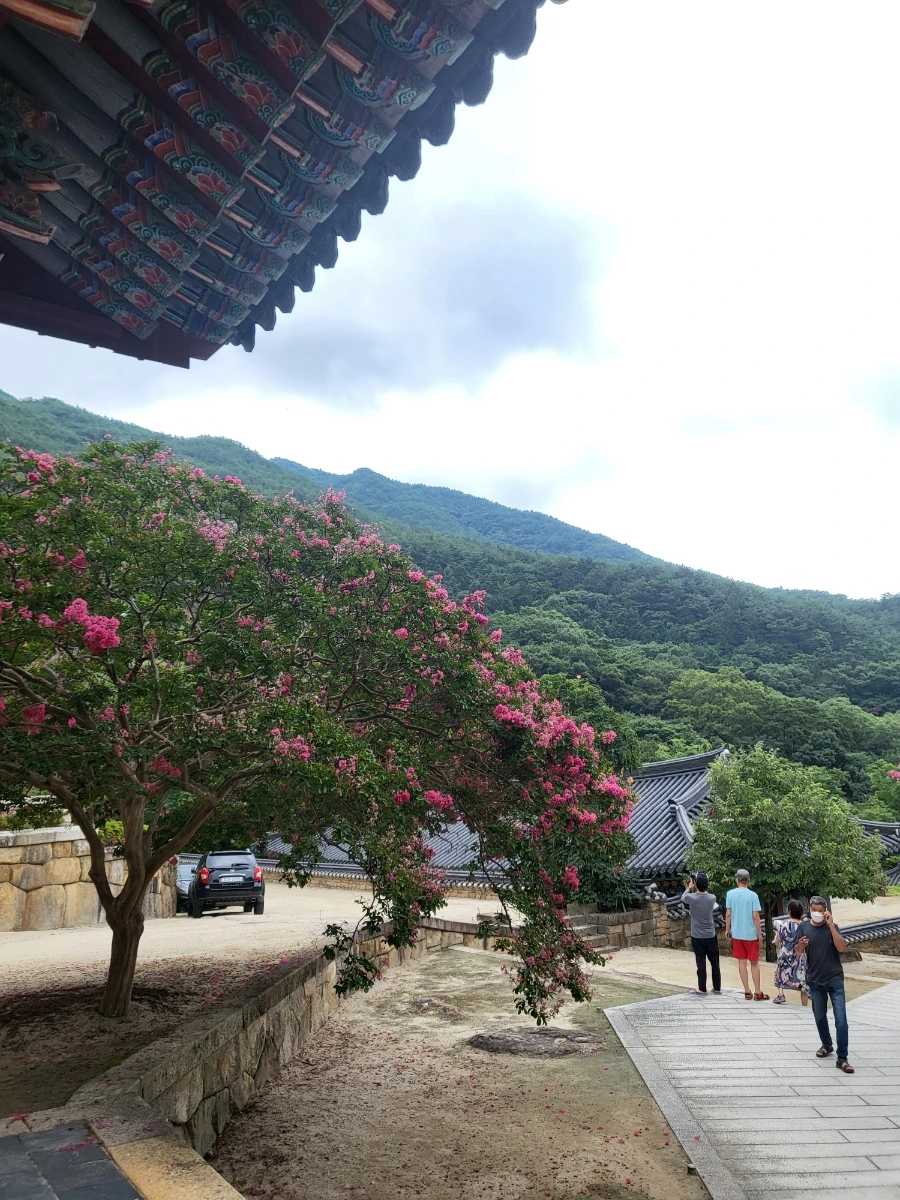 20220814%EF%BC%BF091603.jpg?type=w1