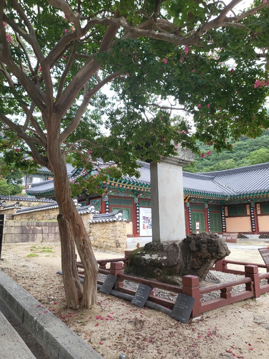 20220814%EF%BC%BF091409.jpg?type=w1