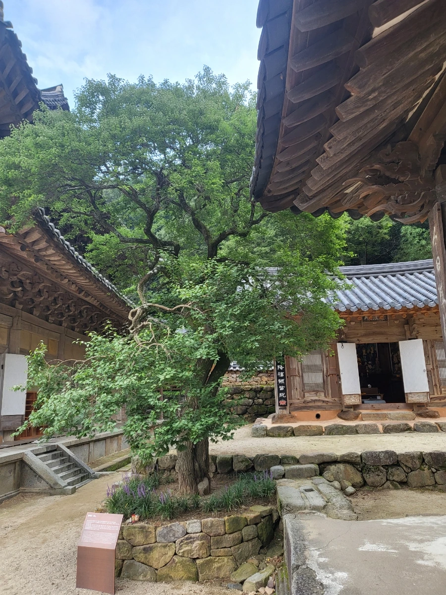 20220814%EF%BC%BF095025.jpg?type=w1