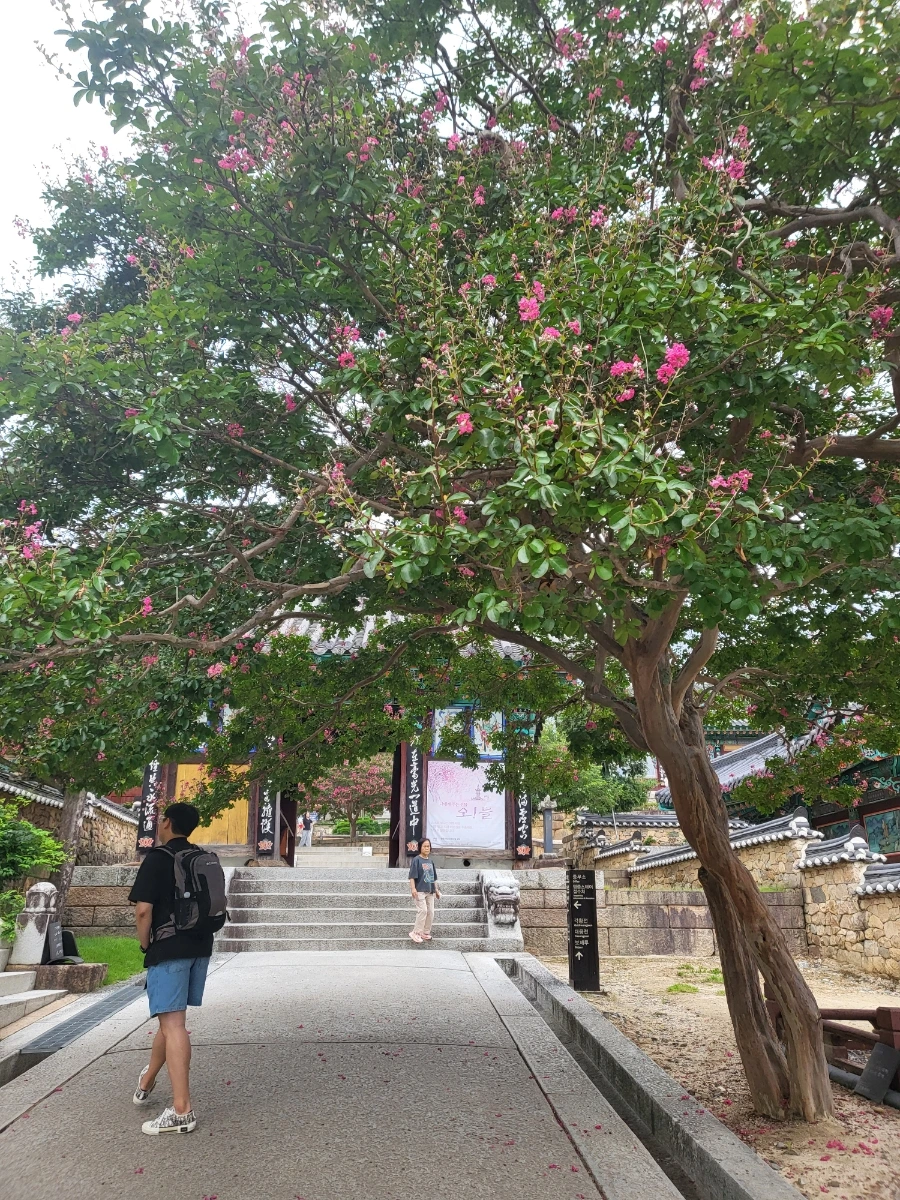 20220814%EF%BC%BF091403.jpg?type=w1