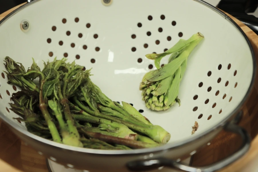 20220410110749%EF%BC%BFIMG%EF%BC%BF2971.JPG?type=w1