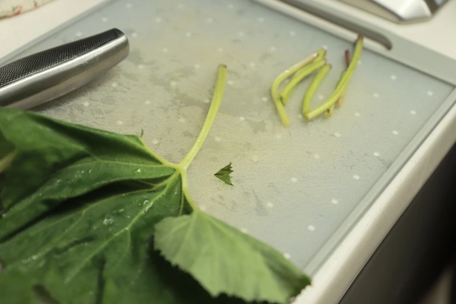 20220410103937%EF%BC%BFIMG%EF%BC%BF2951.JPG?type=w1