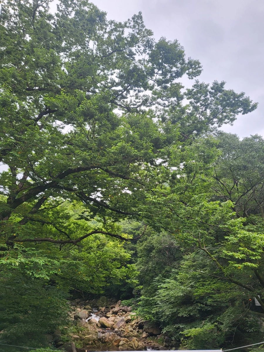 20220814%EF%BC%BF091003.jpg?type=w1