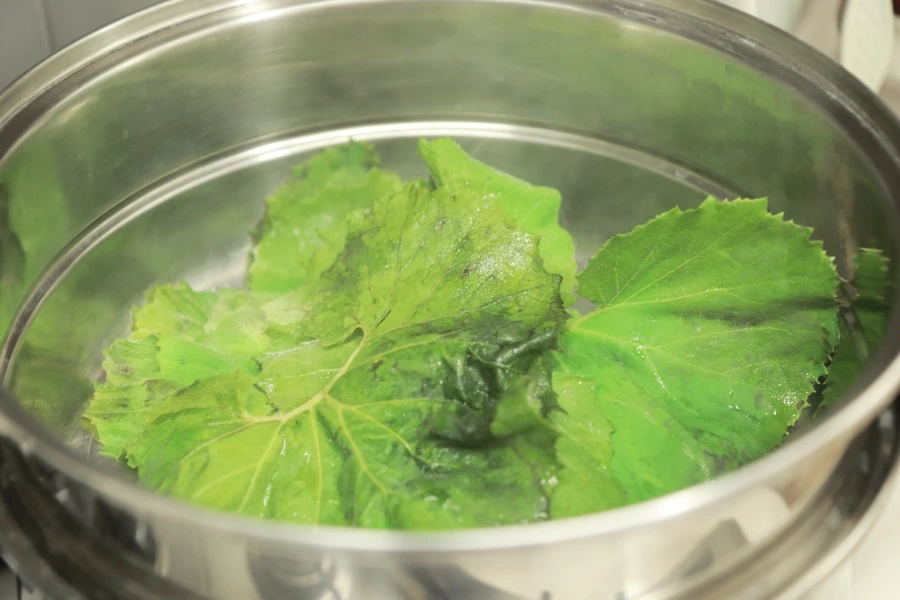 20220410104005%EF%BC%BFIMG%EF%BC%BF2952.JPG?type=w1