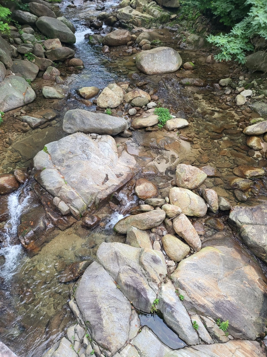 20220814%EF%BC%BF091000.jpg?type=w1