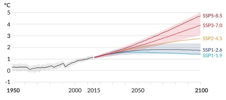 2021.08.12_fig.C.Brief_Global-surface-temperature-changes.jpeg