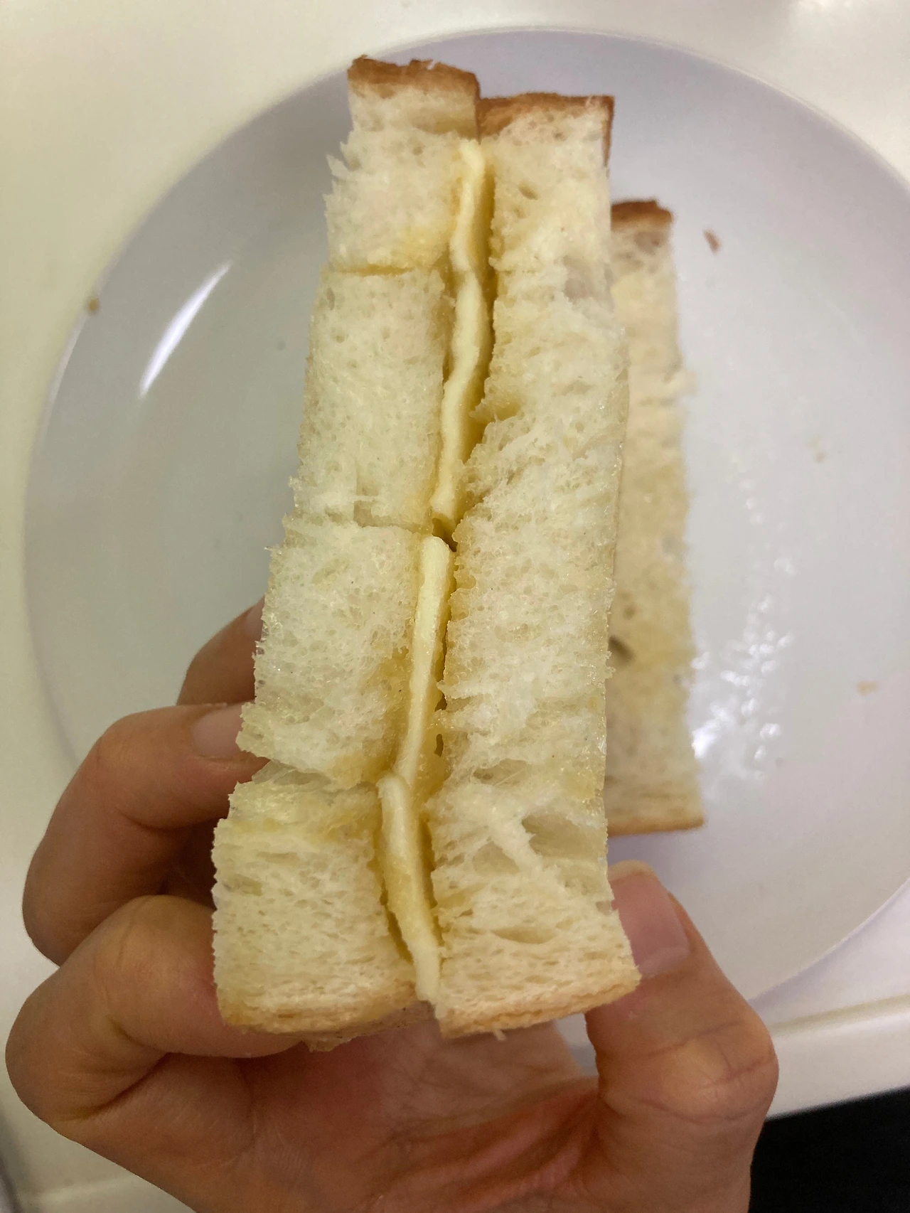 KakaoTalk_Photo_2023-11-26-12-25-29 010.jpeg