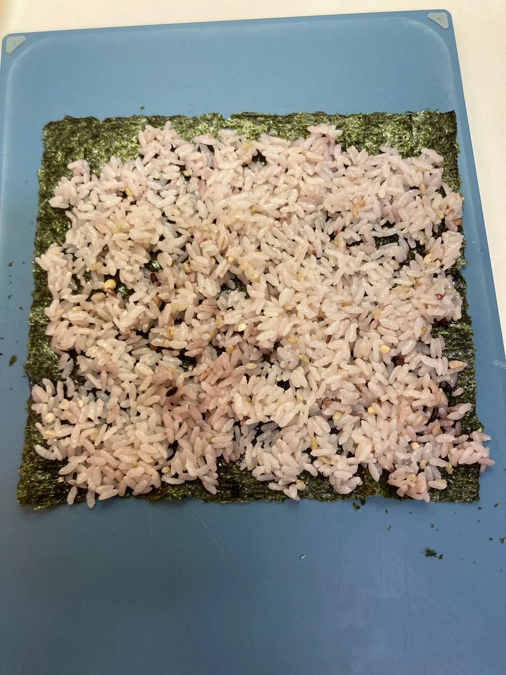 KakaoTalk_Photo_2023-06-10-07-26-43 001.jpeg