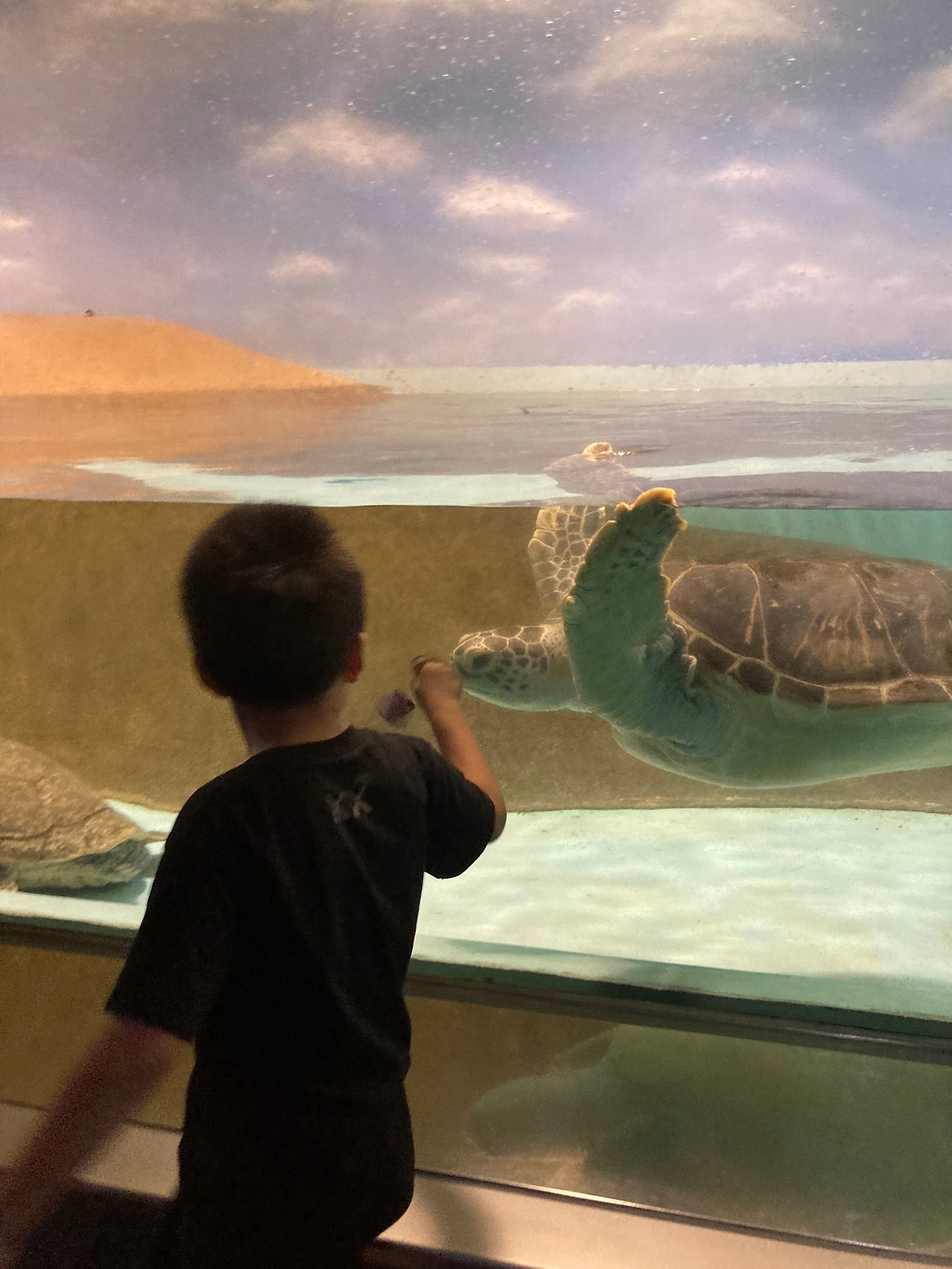 KakaoTalk_Photo_2023-10-13-11-54-08 006.jpeg