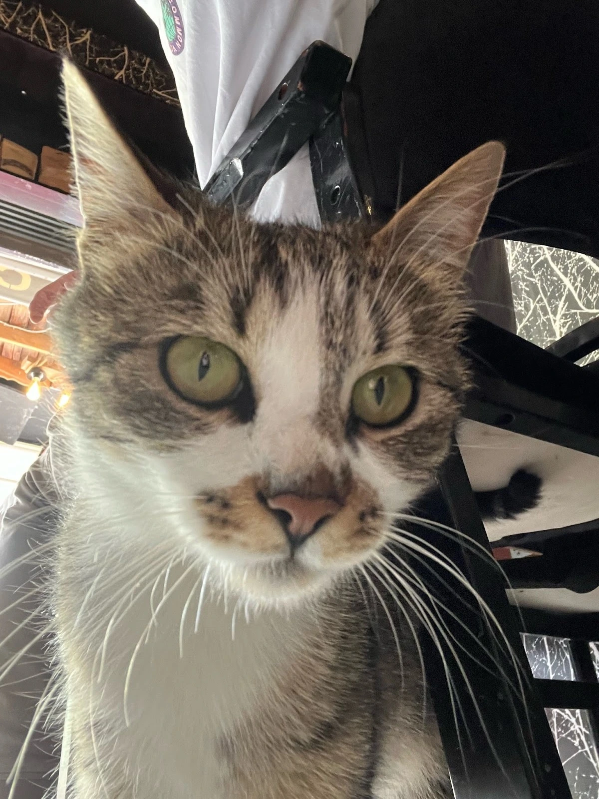 KRu6n_yaCsYgk4g5bipV-9Tb7aOrEVdmRhiFAdiqtxTH9KufhPLbvnKMRzIXk-Lzzd5hbRt05-VwwGUUf845Lle70nyhpdWzxlTovtLyHWW8cIjd5ArtVYW9RSp-QLiMaucj1B7jcSwo8Q_kTD8