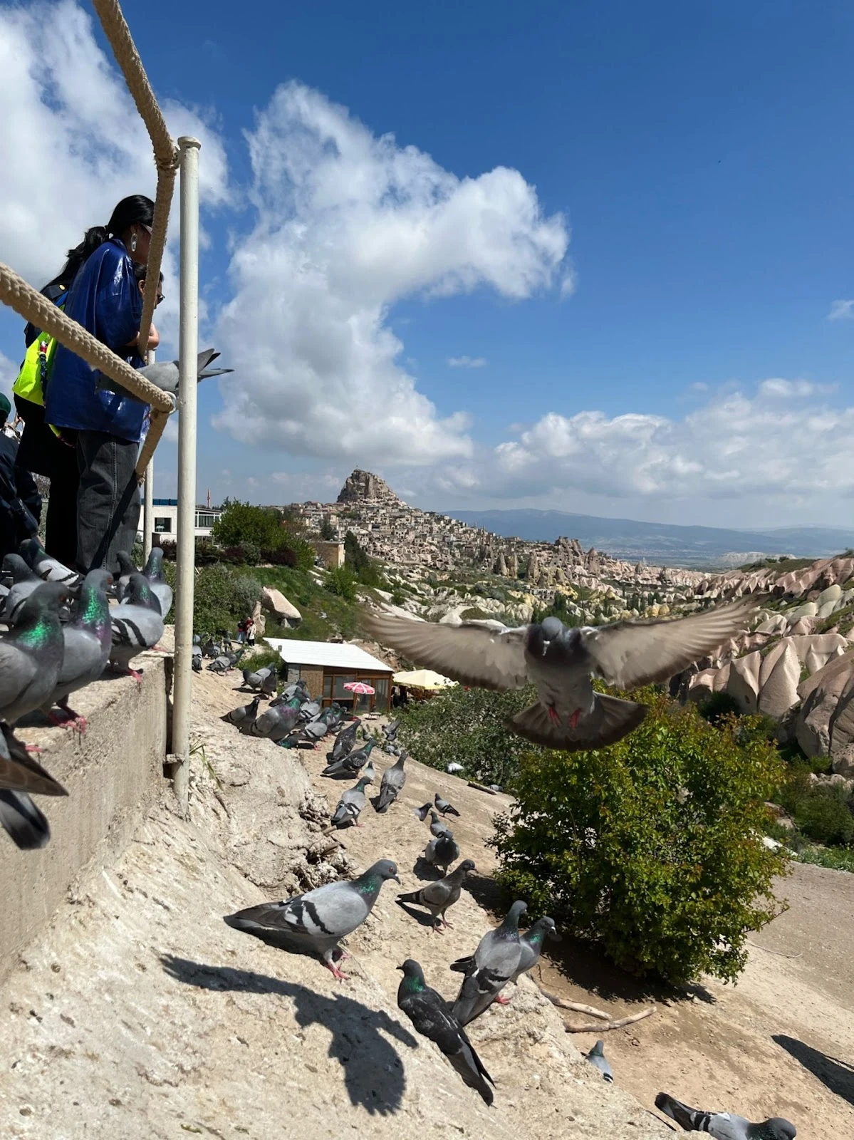 e9K3DWCtaXoKCL7PchEWWbfcJzsYIf0QpowqDh6VLdpJZPr2vHJlXT1DM3flQFqesu9tVLP8Pm19mr5i0N9wUhMnNKVpOk59AKNuNhRXd5zcfLtIA5Y7nJ8fbovxiloWY3Nx7zVMQzlzAlR15H8