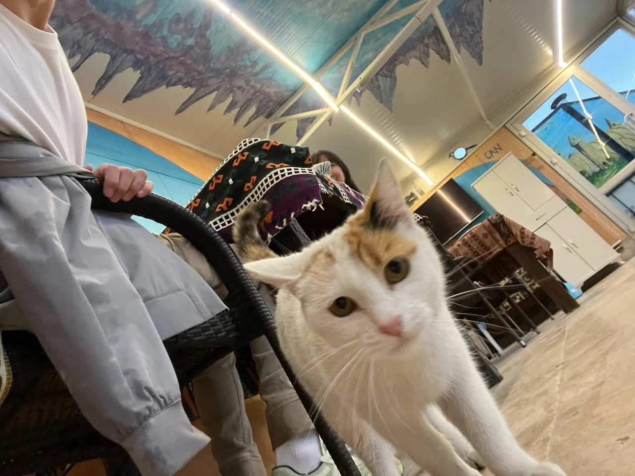 ez5eKHX1F2QvcKCVjmf7_XKquVPJU965p6Y_INTXQZ3O9FouqoVuV-9x_VQnP_-PFs_WZFGQdRZ4X2bMZmClS15XjyNQ8NnBAbZtTi7BA2B9VbCp39v4oiiRTWI-KVgnAvCBiQXuUoIL_lrKzw