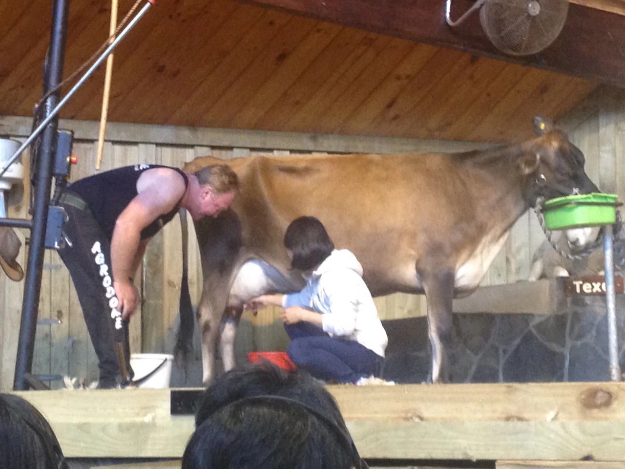 미서니 누질런드 2114.JPG