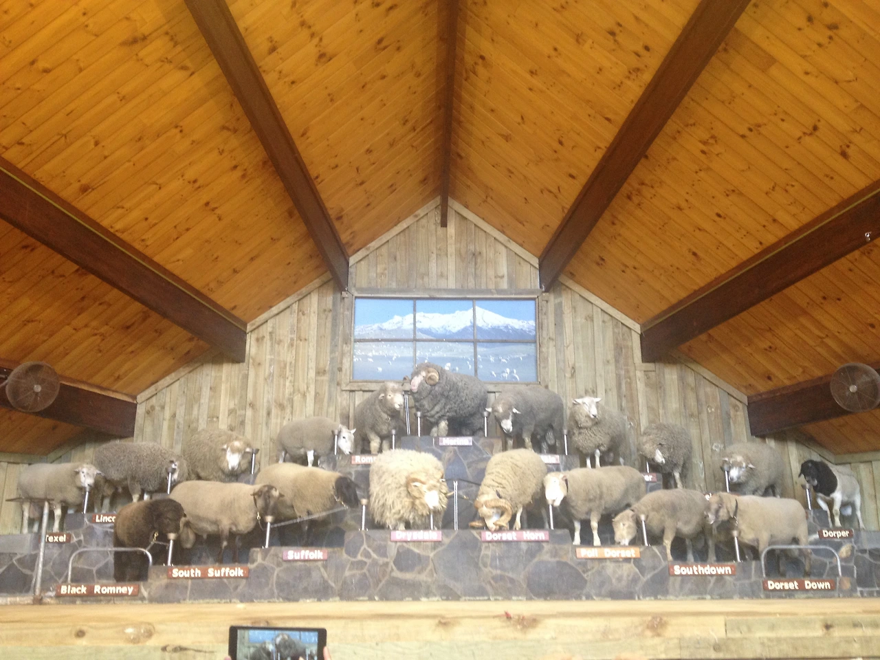 미서니 누질런드 2064.JPG