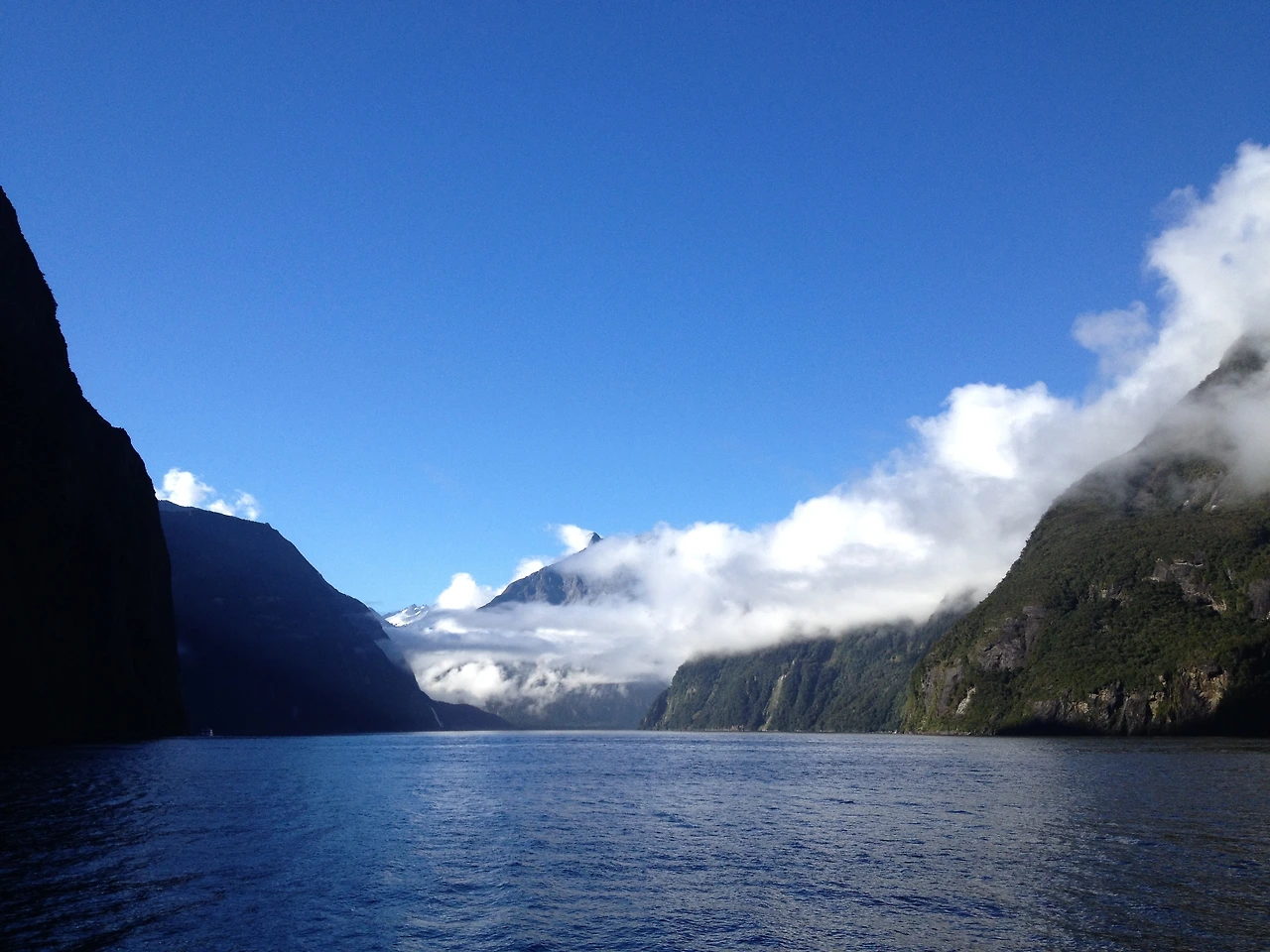 미서니 누질런드 296.JPG