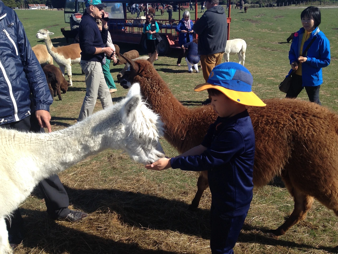 미서니 누질런드 2205.JPG