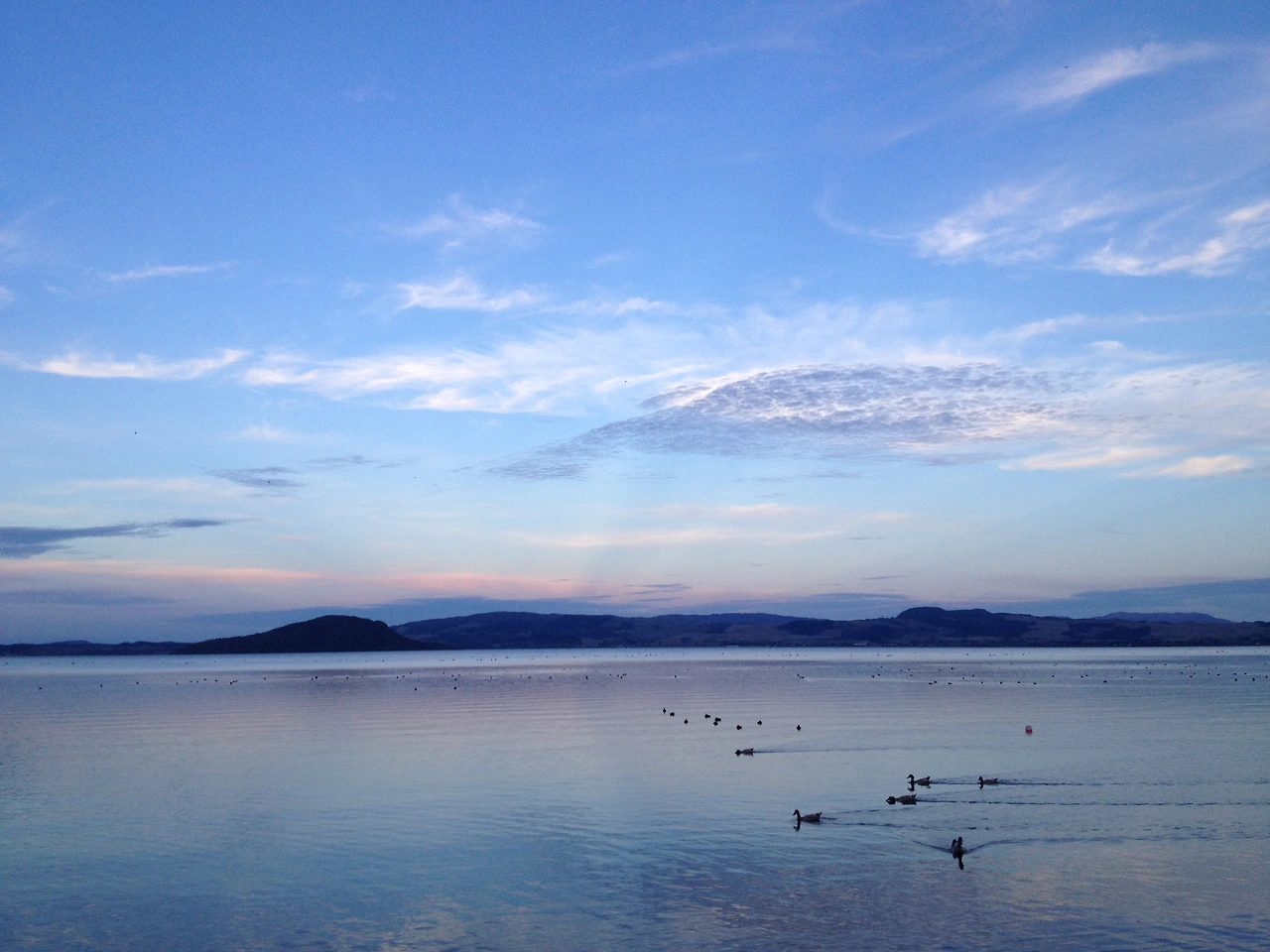 미서니 누질런드 2360.JPG