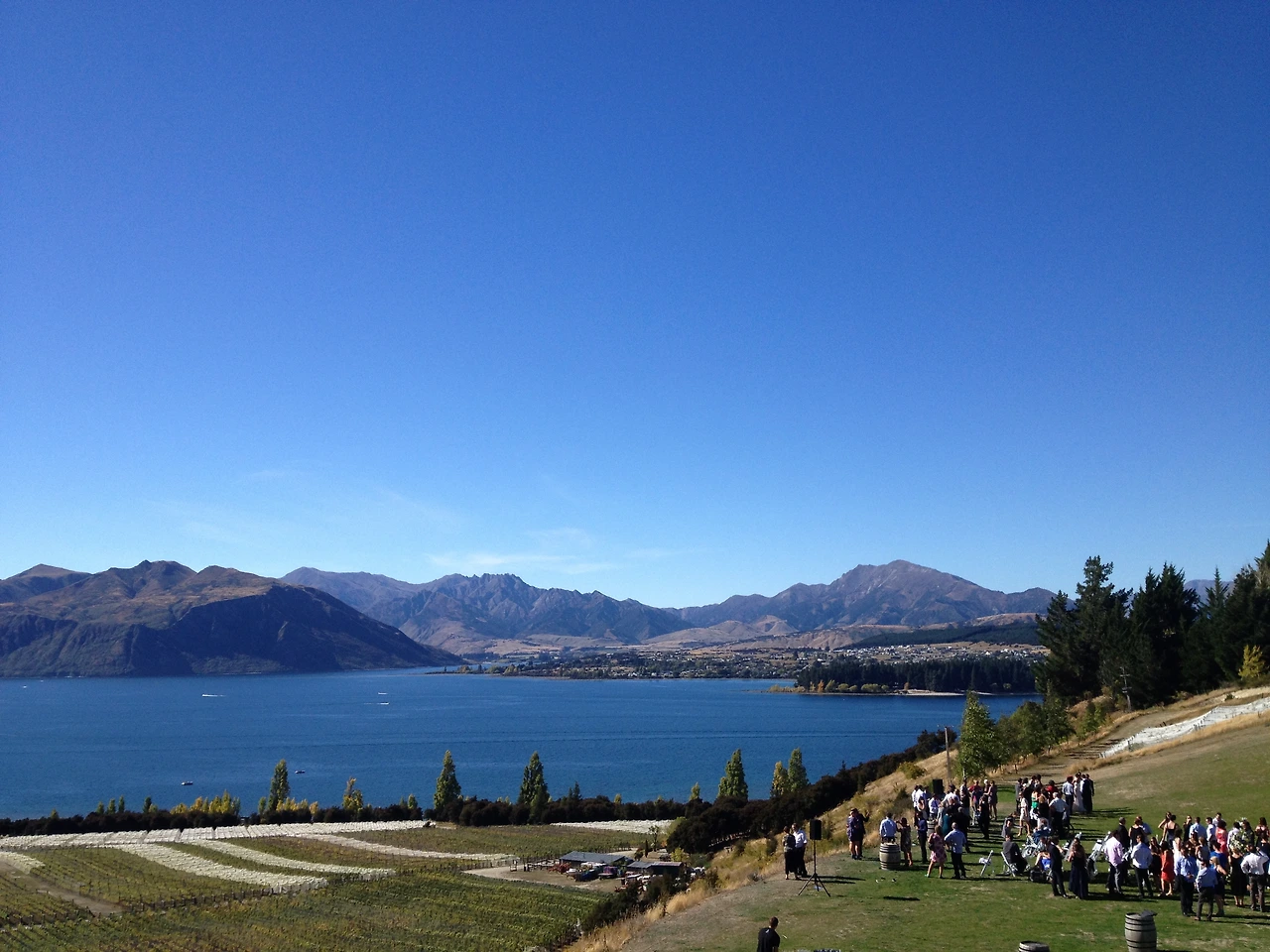 미서니 누질런드 1225.JPG