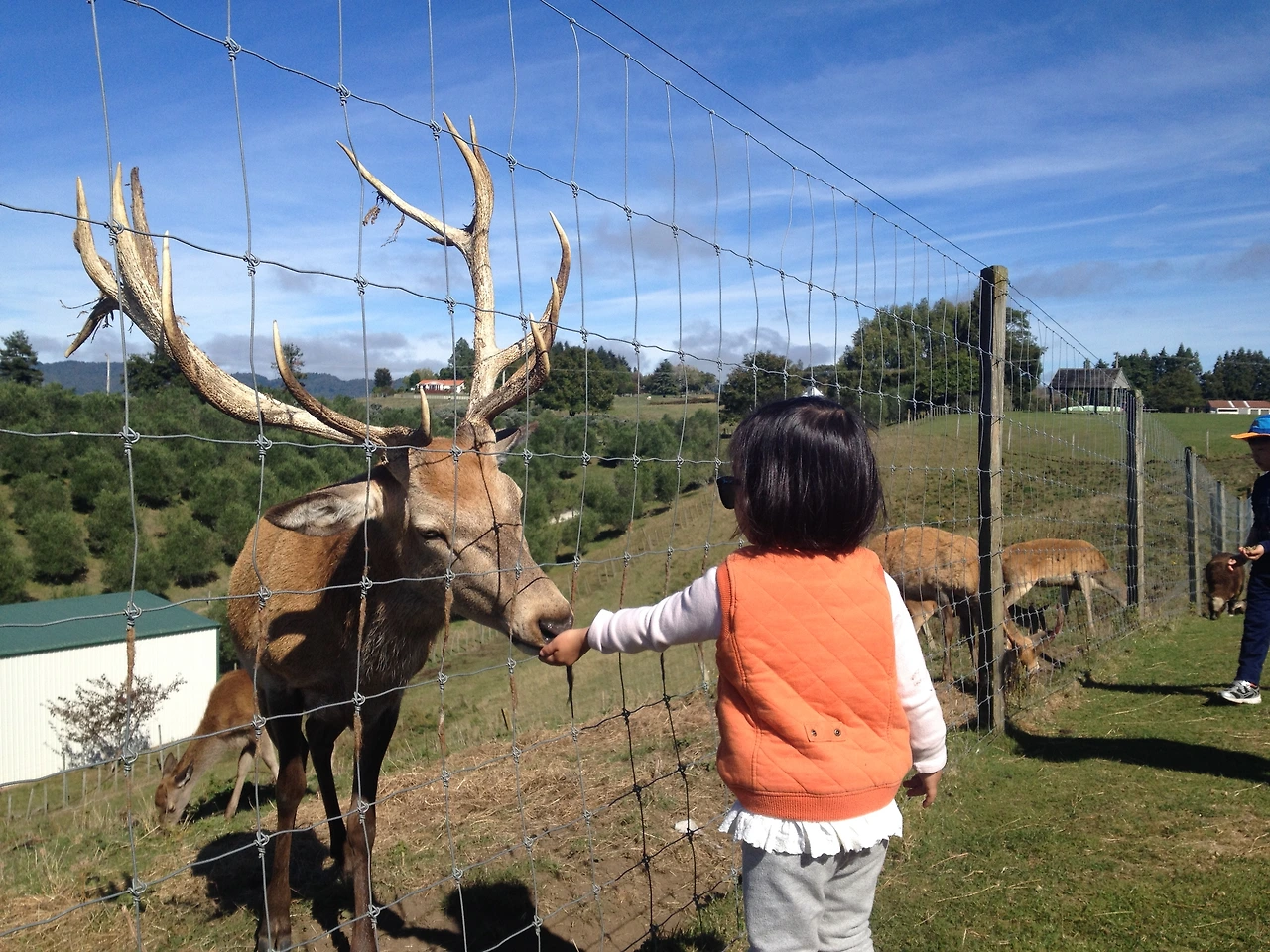 미서니 누질런드 2227.JPG