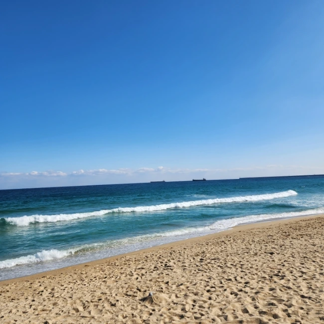 20230130%EF%BC%BF123149.jpg?type=w1