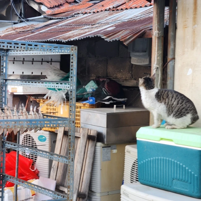 20230130%EF%BC%BF170155.jpg?type=w1