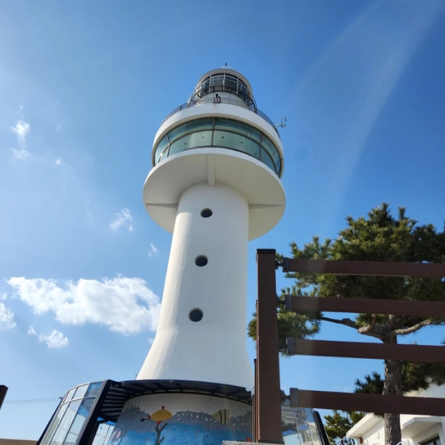 20230129%EF%BC%BF141440.jpg?type=w1