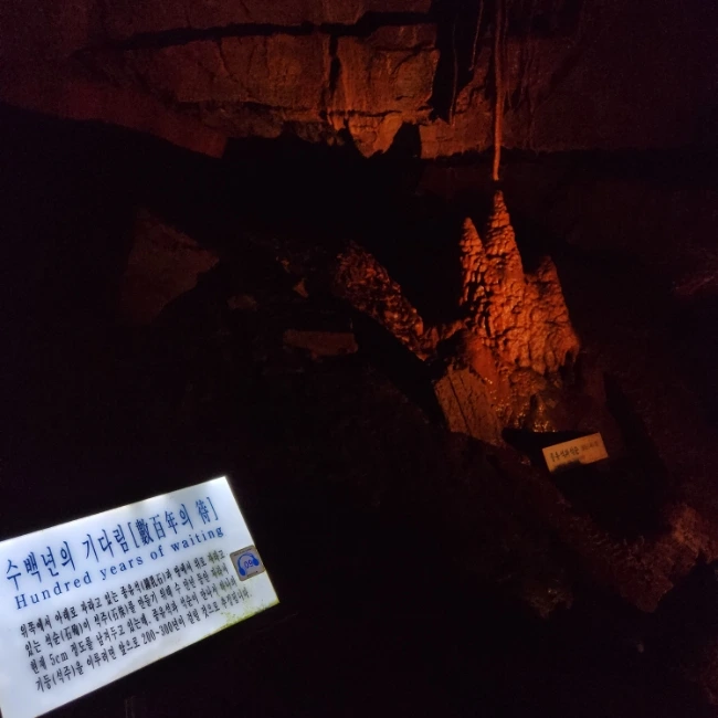 20230130%EF%BC%BF143001.jpg?type=w1