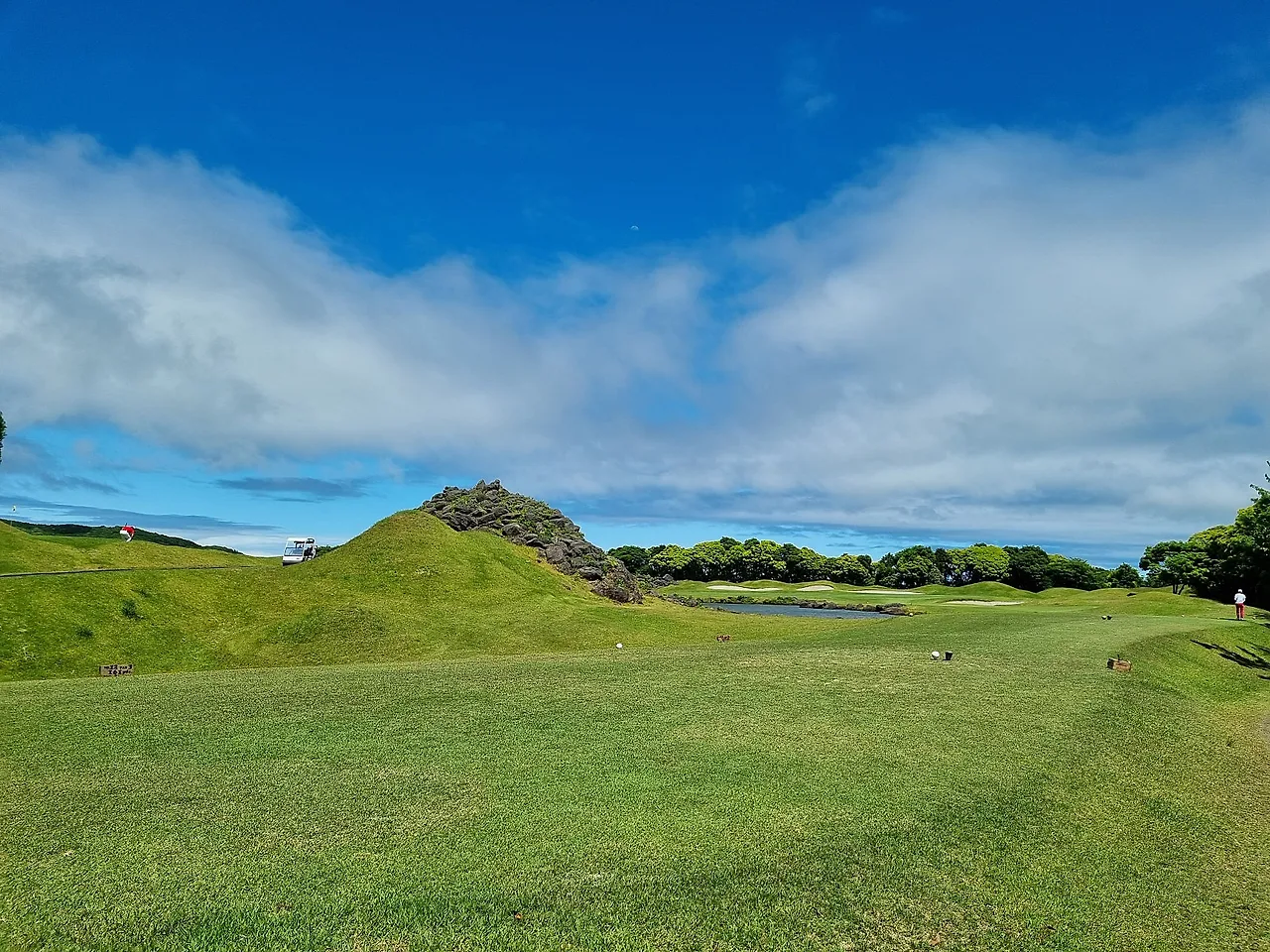 20230528_141717.jpg?type=w1600