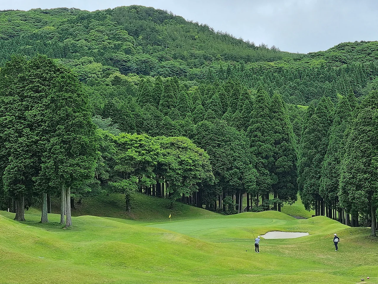 20230528_102400.jpg?type=w1600