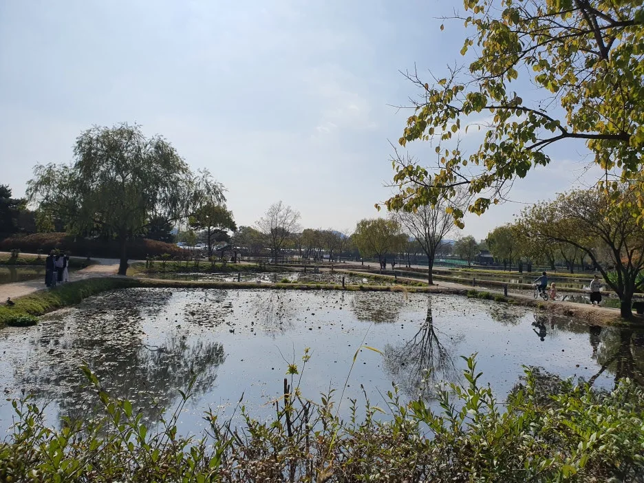 20221106_114236.jpg?type=w1