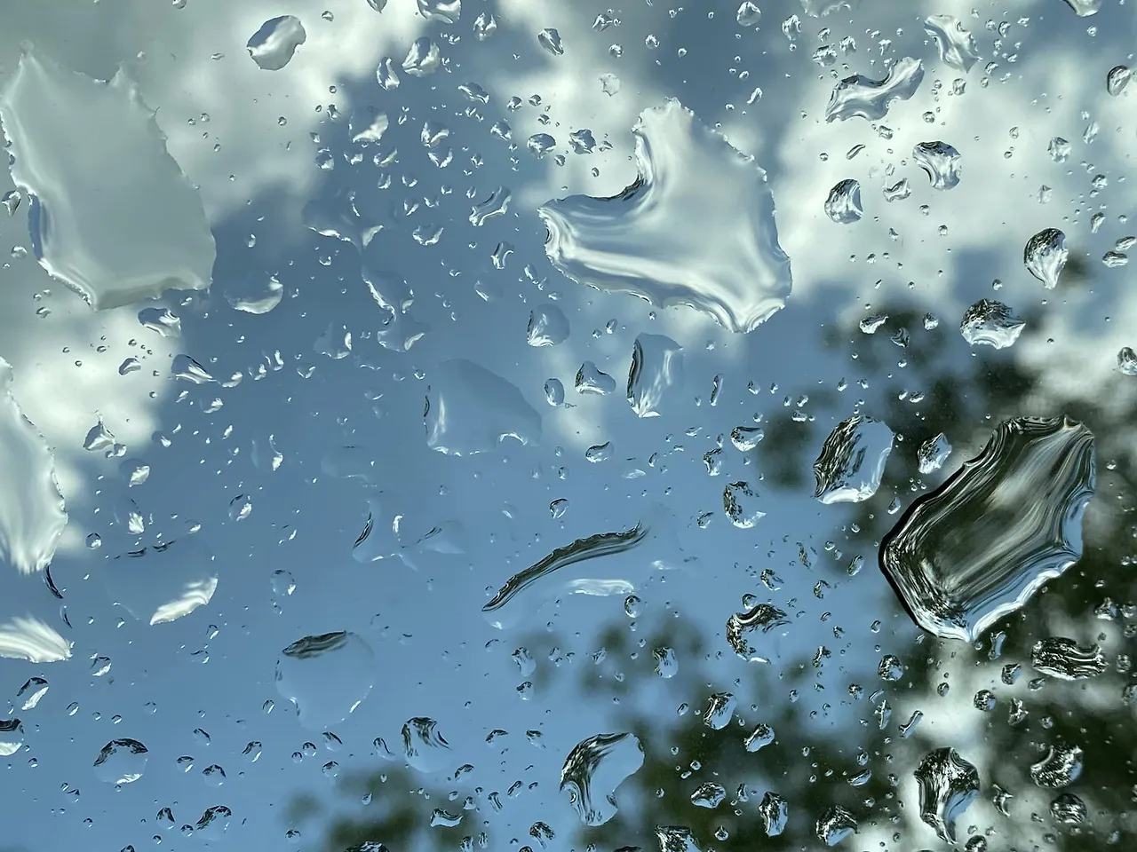 349302067_1265348160755044_5945867576513834141_n.jpg?stp=cp6_dst-jpg&_nc_cat=108&ccb=1-7&_nc_sid=8bfeb9&_nc_ohc=DdpzQjgrKGAAX94gumM&_nc_ht=scontent-gmp1-1.xx&oh=00_AfAIIuXo9B40vfMTqNFKvK8naqFSFBreAUgiijeOki-brg&oe=647A78B9