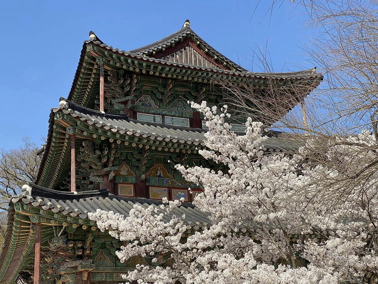 339493300_652240073328840_8363046223005257263_n.jpg?stp=cp6_dst-jpg&_nc_cat=102&ccb=1-7&_nc_sid=8bfeb9&_nc_ohc=9cpqa8H-0EsAX-cTQHE&_nc_ht=scontent-gmp1-1.xx&oh=00_AfDGoGp9TtL2vK59V3e76zUYMzGy9JkS3JagQkY6GMXlfw&oe=647B6B27