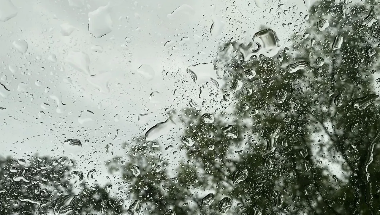 349607022_110789488693583_6239201965499097966_n.jpg?stp=cp6_dst-jpg&_nc_cat=107&ccb=1-7&_nc_sid=8bfeb9&_nc_ohc=tA6vb-1ry8oAX8hM1B7&_nc_ht=scontent-gmp1-1.xx&oh=00_AfD3Ui-zoEjdv2MGG33KOMXrfluE8Oz0btNVw64j4wB_xw&oe=647A7043