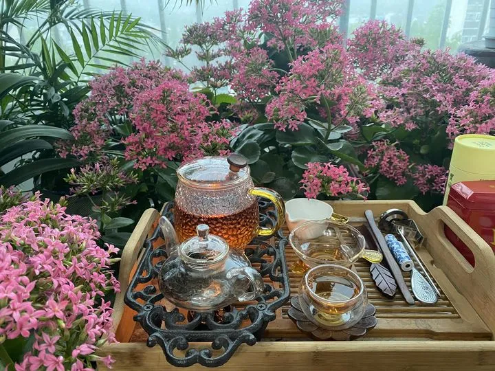 344767363_157366630392879_1488842742871423638_n.jpg?stp=cp6_dst-jpg_p180x540&_nc_cat=104&ccb=1-7&_nc_sid=8bfeb9&_nc_ohc=_IBqyMjtEV8AX-32E9I&_nc_ht=scontent-gmp1-1.xx&oh=00_AfD3Ukfc7Jo0D6SPHz3eAr_GahWYxxKnvJffU4klIvuoGQ&oe=647AC51B