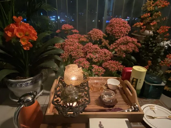 337540870_5964108616958319_7930133827996211567_n.jpg?stp=cp6_dst-jpg_p180x540&_nc_cat=100&ccb=1-7&_nc_sid=8bfeb9&_nc_ohc=WdFyUVO1BYEAX-fbpjE&_nc_ht=scontent-gmp1-1.xx&oh=00_AfDLJs9hQ-e6u_GKCfTK_O0j00PXnMEKnwoIwhvaWvx0dg&oe=647ADC21