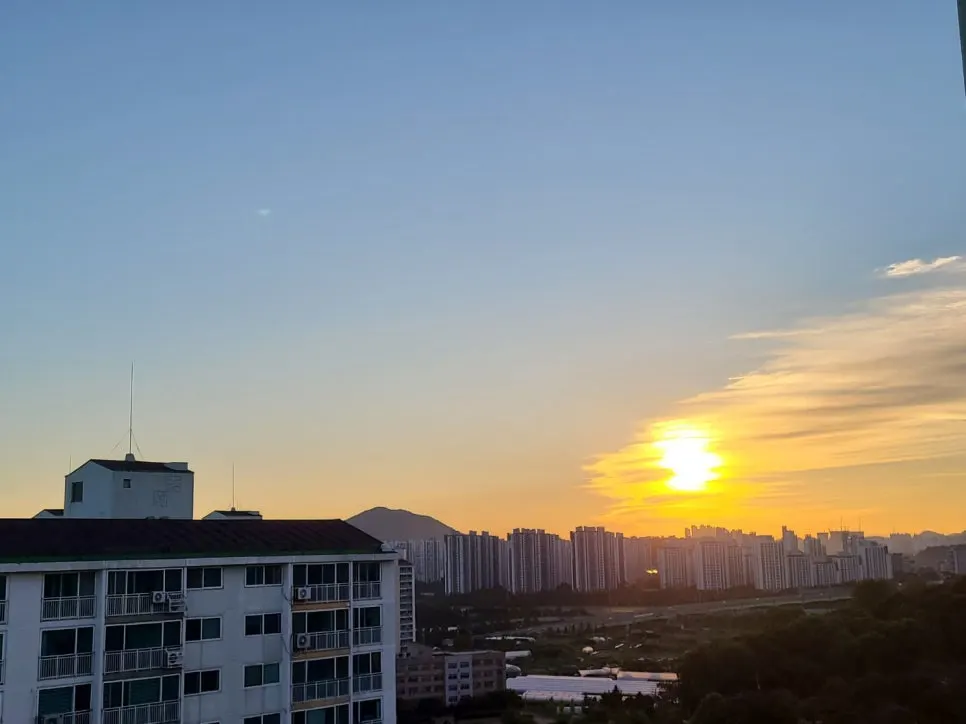 KakaoTalk_20240625_071844215_01.jpg?type=w966