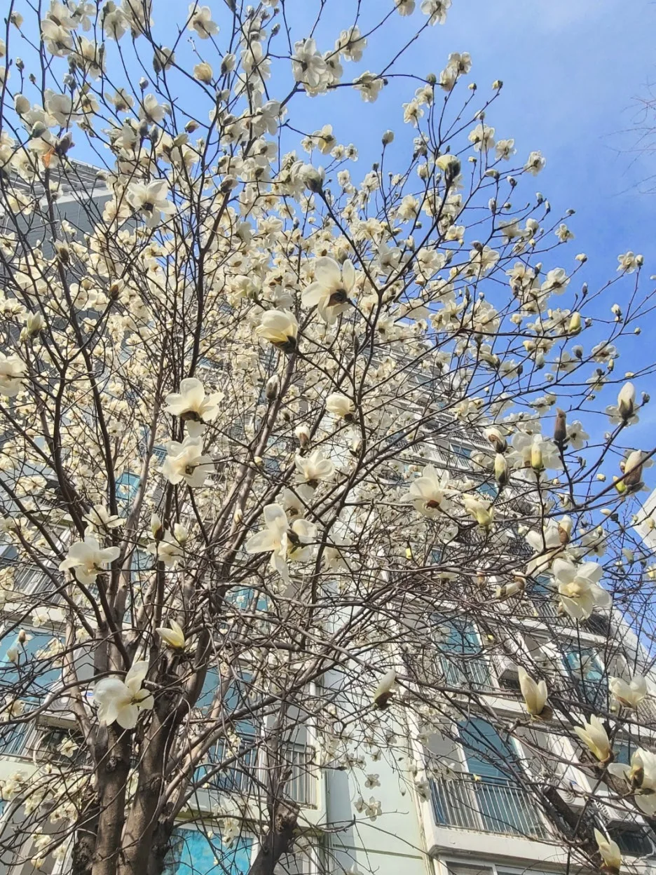 KakaoTalk_20250328_020935835_03.jpg?type=w1