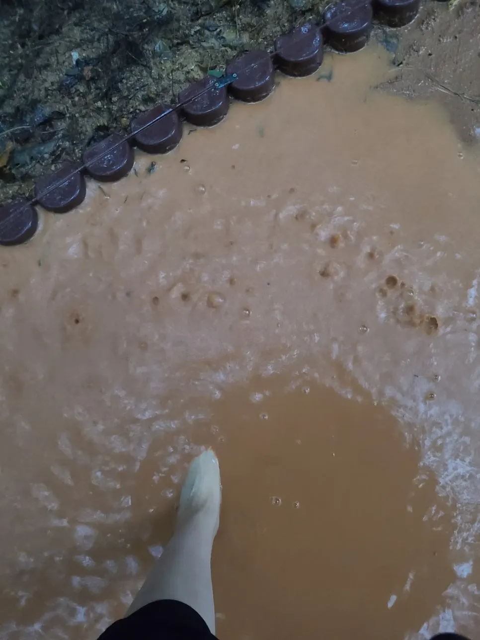 KakaoTalk_20240821_083828981_01.jpg?type=w966