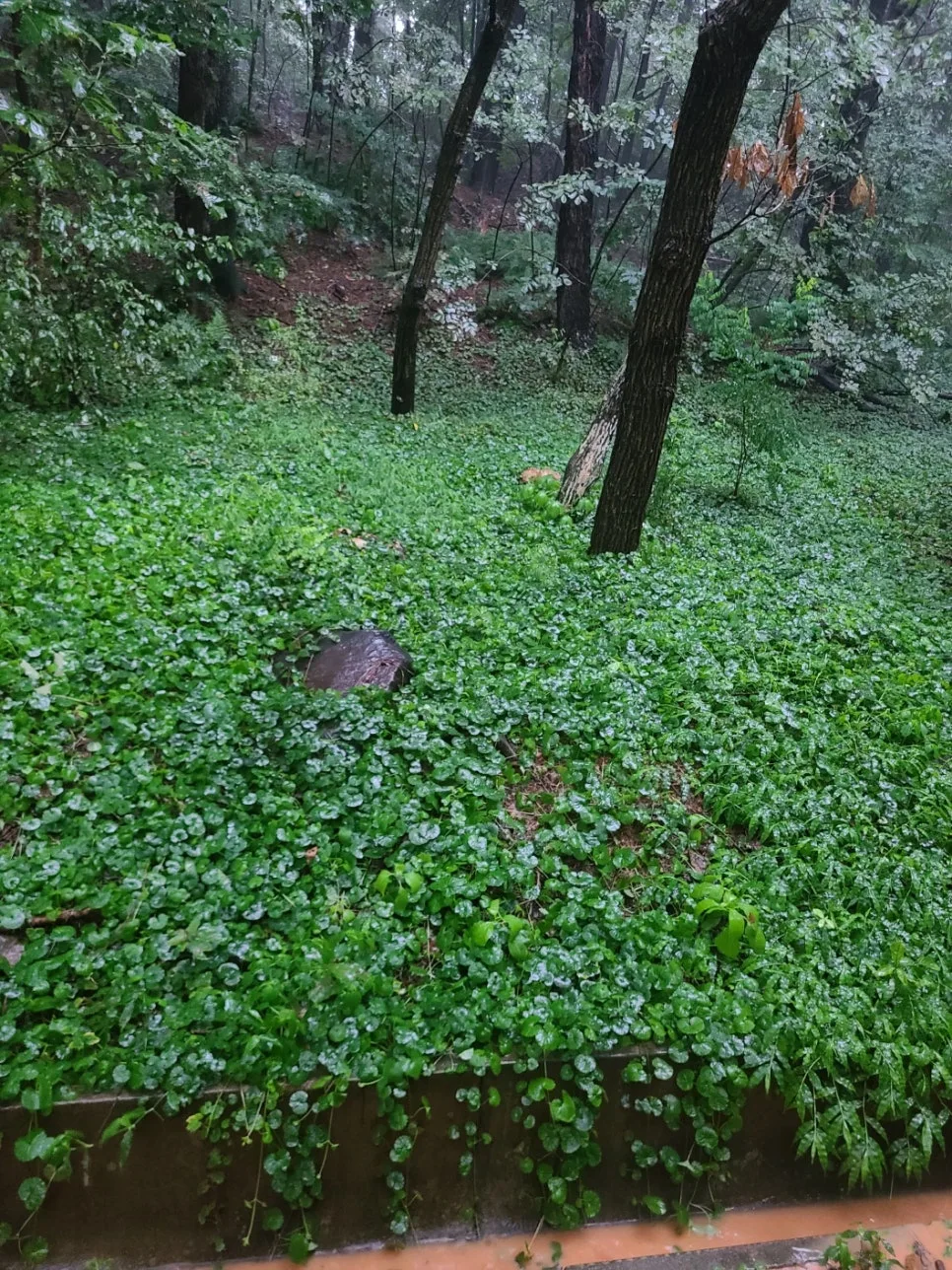 KakaoTalk_20240821_083828981_02.jpg?type=w966