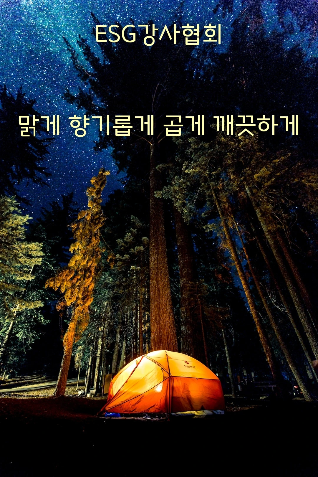 5225c9f68cede2258f64b9c6f8c53a5c1512bcbe