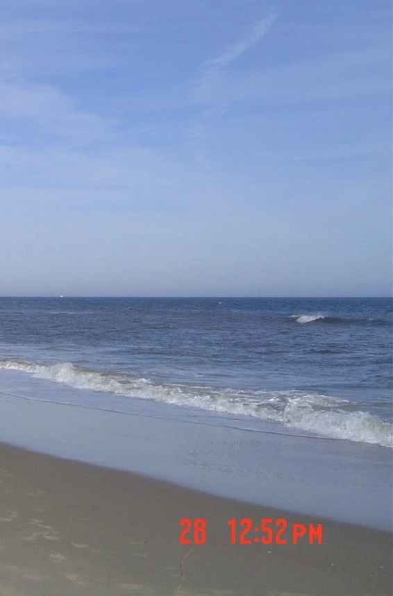 DSC03391 - 복사본 (2).JPG