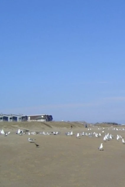 DSC03445 - 복사본.JPG