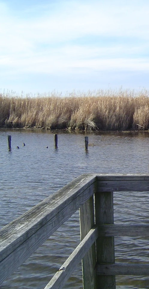 DSC03404 - 복사본 (2).JPG