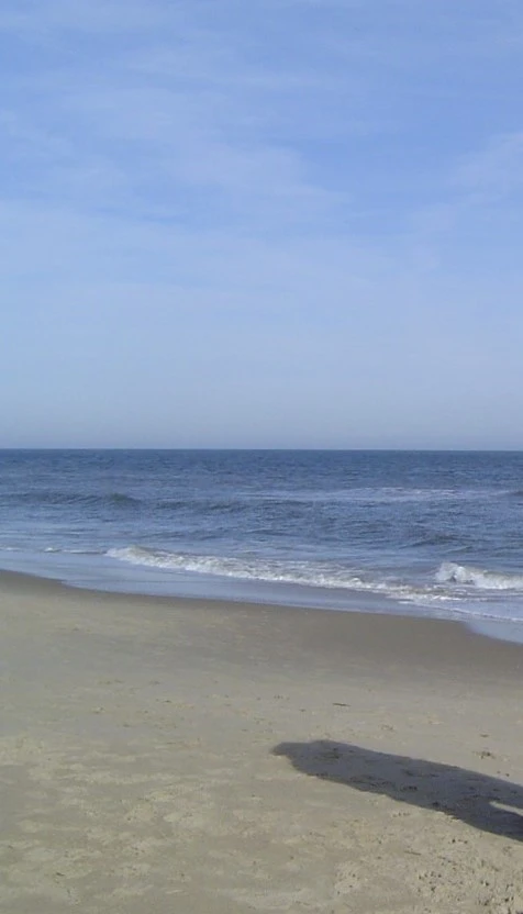 DSC03395 - 복사본.JPG